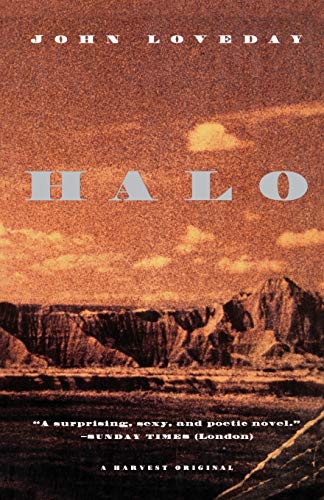 Imagen de archivo de Halo a la venta por Wonder Book
