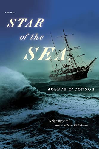 Beispielbild fr Star of the Sea zum Verkauf von Reuseabook