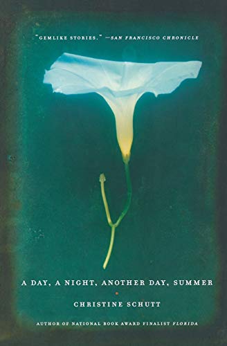 Stock image for A Day, a Night, Another Day, Summer for sale by Better World Books