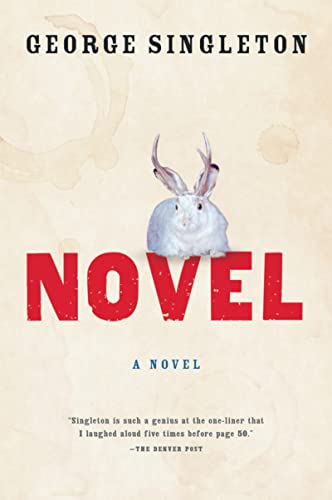 Beispielbild fr Novel: A Novel. zum Verkauf von Powell's Bookstores Chicago, ABAA