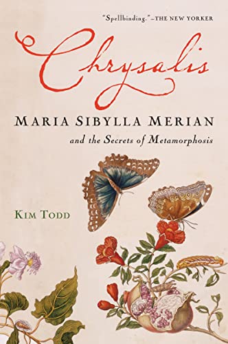 Immagine stock per Chrysalis: Maria Sibylla Merian and the Secrets of Metamorphosis
