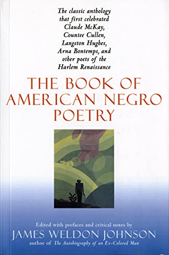 9780156135399: The Book of American Negro Poetry: Revised Edition