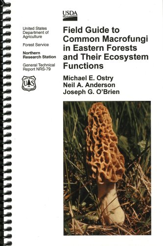 9780160886119: Field Guide to Common Macrofungi in Eastern Forests and Their Ecosystem Functions