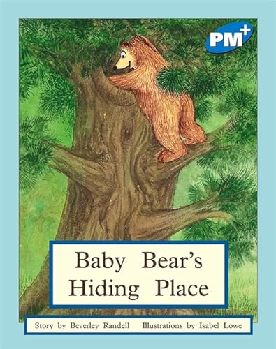 9780170096553: Baby Bear's Hiding Place