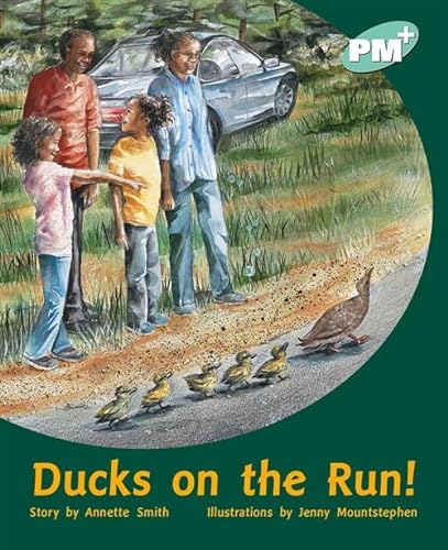 Imagen de archivo de Ducks on the Run! a la venta por WorldofBooks