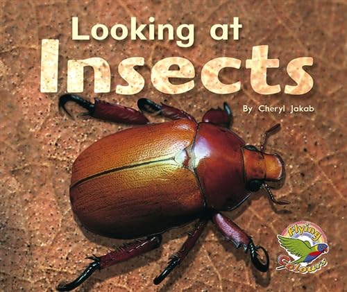 Stock image for Looking at Insects for sale by Books Puddle