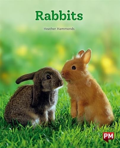 Imagen de archivo de Rabbits (Paperback) a la venta por Grand Eagle Retail