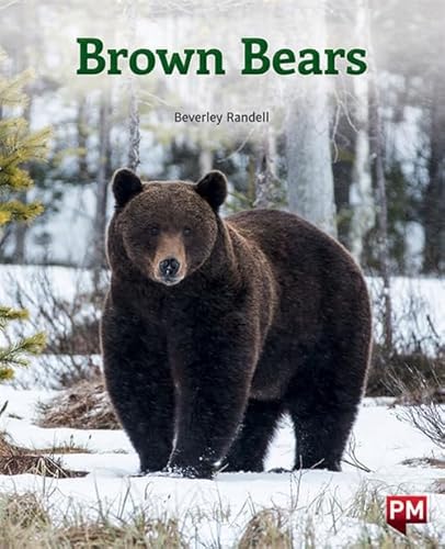Stock image for Brown Bears (Paperback) for sale by Grand Eagle Retail
