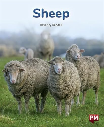 Stock image for Sheep (Paperback) for sale by Grand Eagle Retail