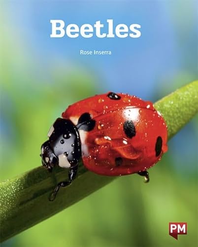 Beispielbild fr Beetles (Paperback) zum Verkauf von Grand Eagle Retail