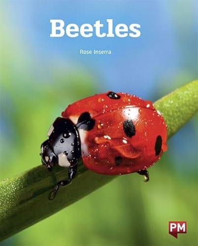 Imagen de archivo de Beetles (Paperback) a la venta por Grand Eagle Retail