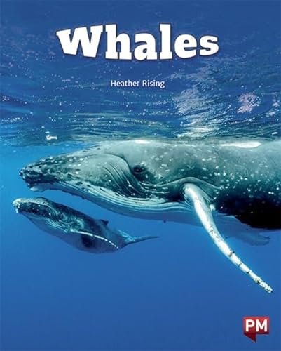 Stock image for Whales (Paperback) for sale by Grand Eagle Retail