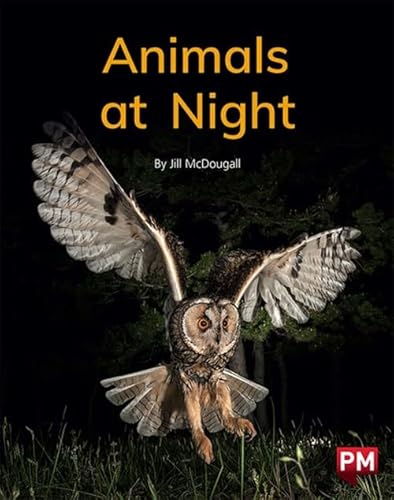 Beispielbild fr Animals at Night (Paperback) zum Verkauf von Grand Eagle Retail