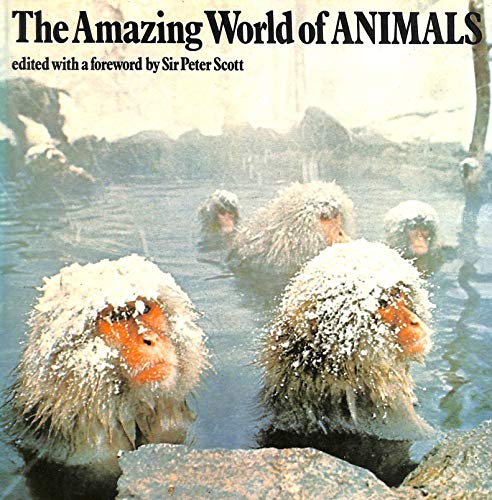Beispielbild fr The Amazing World of Animals zum Verkauf von AwesomeBooks