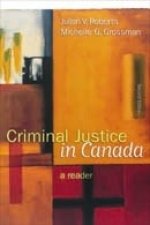 Stock image for Criminal Justice in Canada: a Reader for sale by Bay Used Books