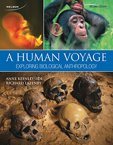 Imagen de archivo de A Human Voyage: Exploring Biological Anthropology a la venta por Zoom Books Company