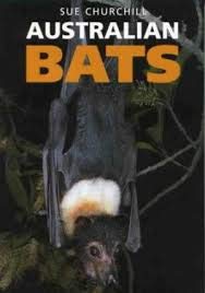 Beispielbild fr Australian Bats zum Verkauf von WorldofBooks