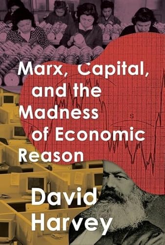 Beispielbild fr Marx, Capital, and the Madness of Economic Reason zum Verkauf von Blackwell's