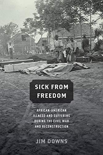 9780190218263: Sick from Freedom: African-American Illness And Suffering During The Civil War And Reconstruction