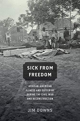 9780190218263: Sick from Freedom: African-American Illness and Suffering during the Civil War and Reconstruction