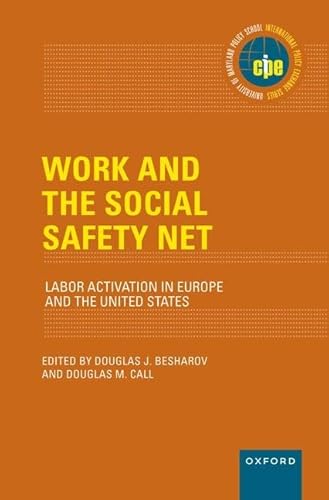Imagen de archivo de Work and the Social Safety Net a la venta por Blackwell's