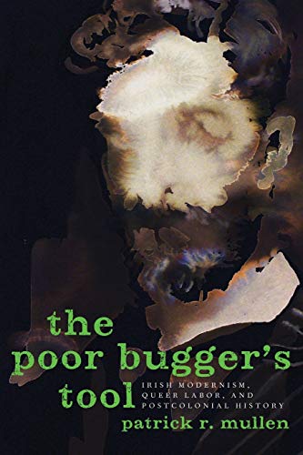 9780190604264: Poor Bugger's Tool: Irish Modernism, Queer Labor, and Postcolonial History