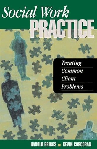 Imagen de archivo de Social Work Practice: Treating Common Client Problems a la venta por THE SAINT BOOKSTORE