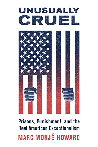 Imagen de archivo de Unusually Cruel: Prisons, Punishment, and the Real American Exceptionalism a la venta por Irish Booksellers