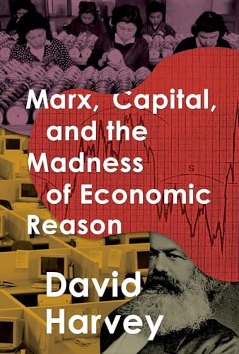 Beispielbild fr Marx, Capital and the Madness of Economic Reason zum Verkauf von Blackwell's