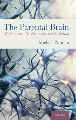 Stock image for Parental Brain: Mechanisms, Development, and Evolution for sale by ThriftBooks-Dallas