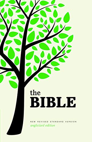 Beispielbild fr Holy Bible: New Revised Standard Version Anglicized Edition zum Verkauf von AwesomeBooks