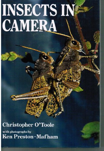 Beispielbild fr Insects in Camera zum Verkauf von Better World Books: West