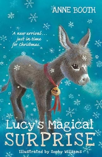 Imagen de archivo de Lucy's Magical Surprise a la venta por SecondSale