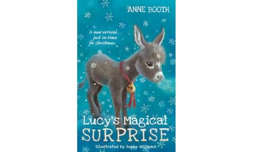 Stock image for Lucy's Magical Surprise for sale by AwesomeBooks