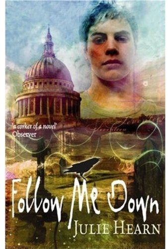 Imagen de archivo de Follow Me Down [UK Edition of 'Sign of the Raven'] Hearn, Julie a la venta por Re-Read Ltd