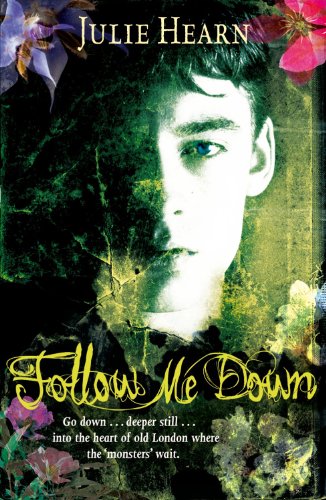 Beispielbild fr Follow Me Down zum Verkauf von AwesomeBooks