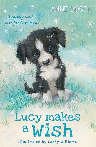 Imagen de archivo de Lucy Makes a Wish a la venta por ThriftBooks-Atlanta