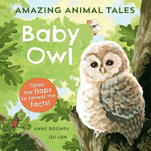 Beispielbild fr Baby Owl zum Verkauf von Blackwell's