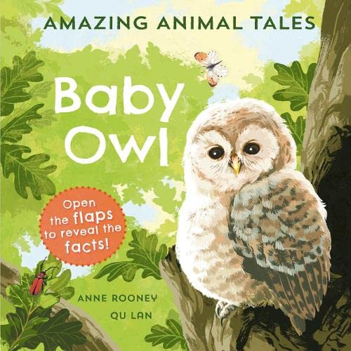 Beispielbild fr Baby Owl zum Verkauf von Blackwell's