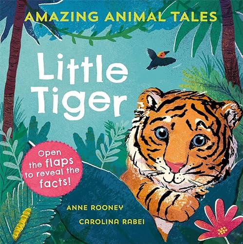 Imagen de archivo de Amazing Animal Tales: Little Tiger a la venta por AwesomeBooks