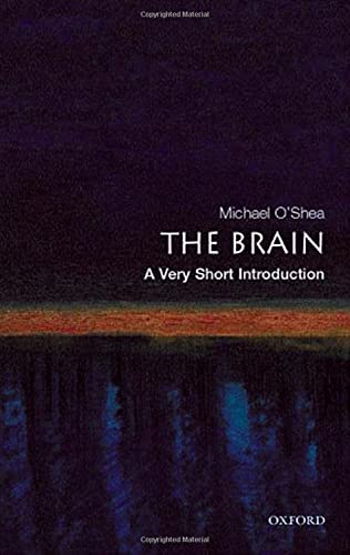 Beispielbild fr The Brain: A Very Short Introduction zum Verkauf von Wonder Book