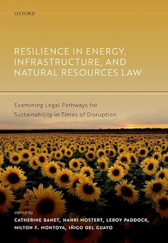 Imagen de archivo de Resilience in Energy, Infrastructure, and Natural Resources Law: Examining Legal Pathways for Sustainability in Times of Disruption a la venta por GF Books, Inc.