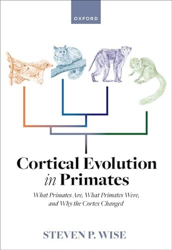 Beispielbild fr Cortical Evolution in Primates zum Verkauf von Blackwell's
