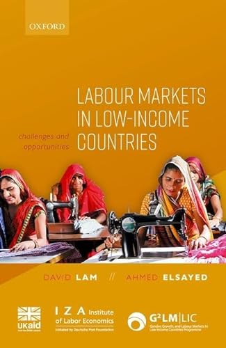 Stock image for Labour Markets in Low-Income Countries: Challenges and Opportunities for sale by Reuseabook