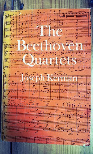 Imagen de archivo de The Beethoven Quartets a la venta por Ystwyth Books