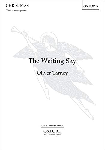 Beispielbild fr The Waiting Sky zum Verkauf von Blackwell's