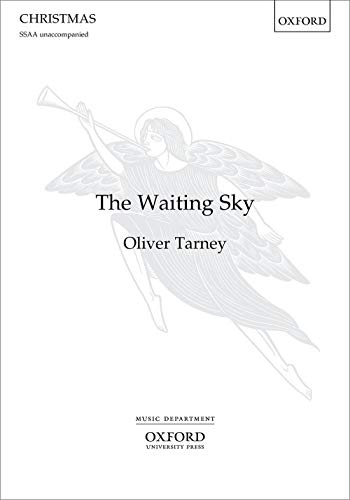 Imagen de archivo de The Waiting Sky a la venta por Blackwell's