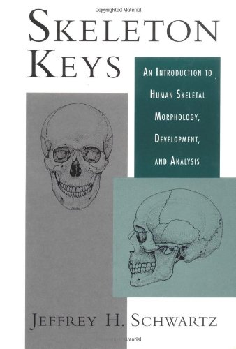 Stock image for Skeleton Keys: An Introduction to Human Skeletal Morphology, Development, and Analysis for sale by Housing Works Online Bookstore