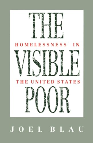 Imagen de archivo de The Visible Poor: Homelessness in the United States a la venta por BooksRun