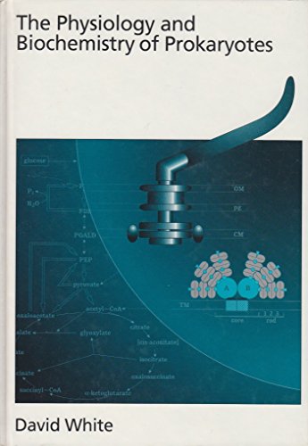 The Physiology and Biochemistry of Prokaryotes - White, David